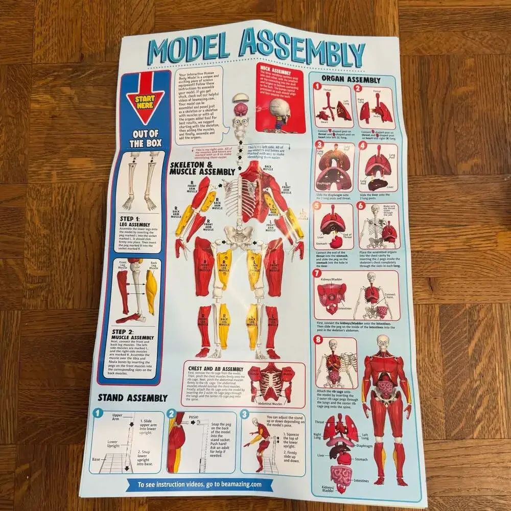Be Amazing! Toys Interactive Human Body Anatomy Model Kit
